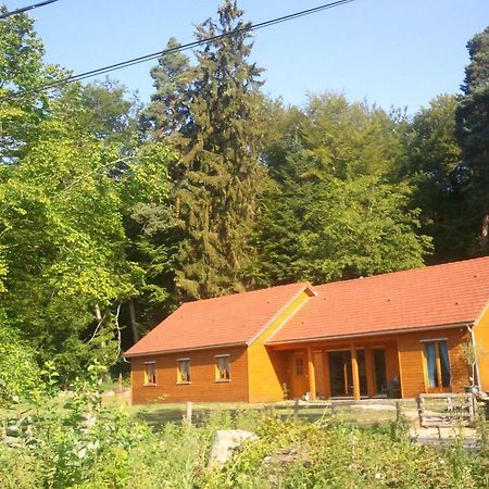 Vosges Chambres D'Hotes Jeanmenil Bagian luar foto