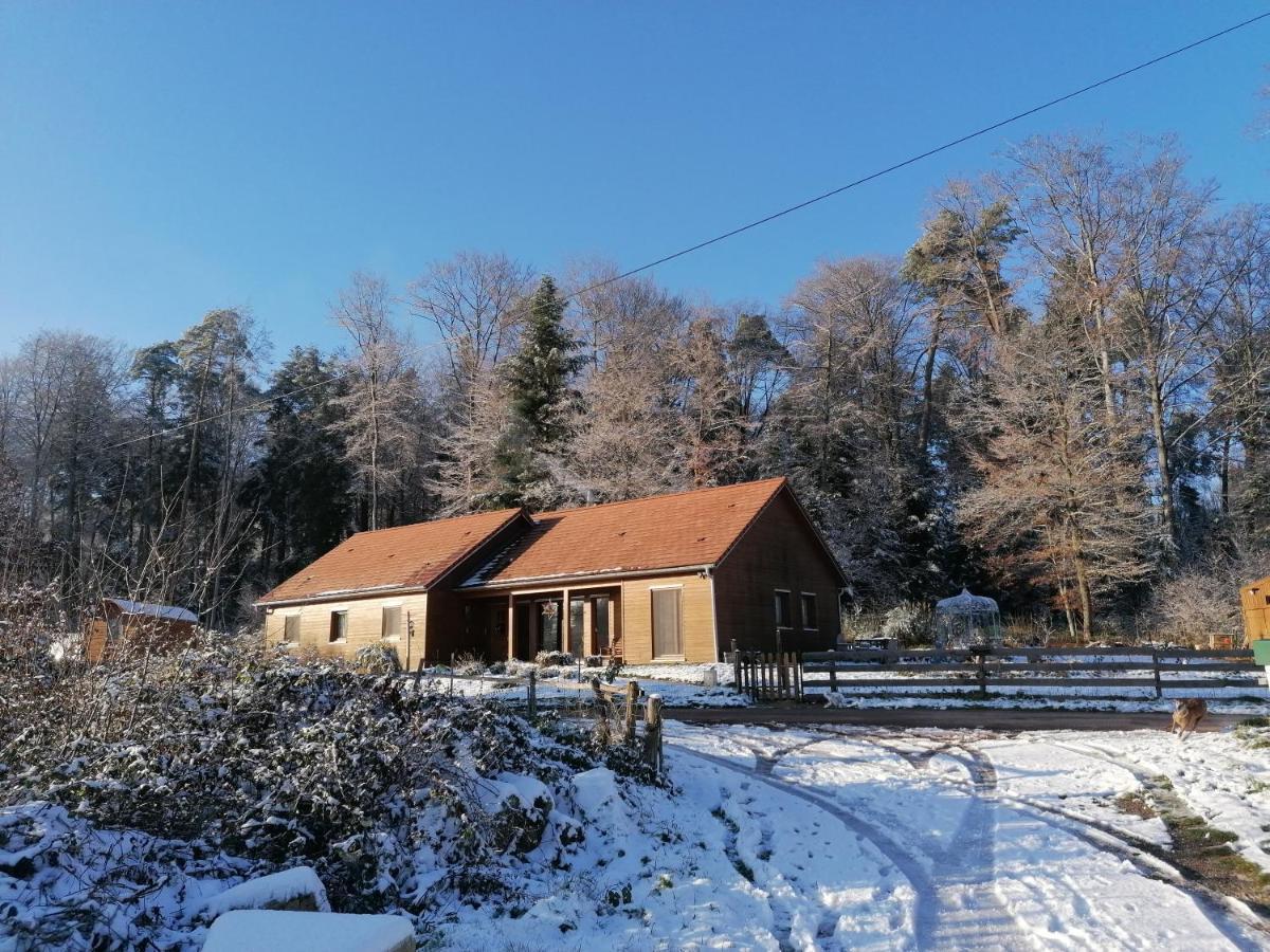 Vosges Chambres D'Hotes Jeanmenil Bagian luar foto