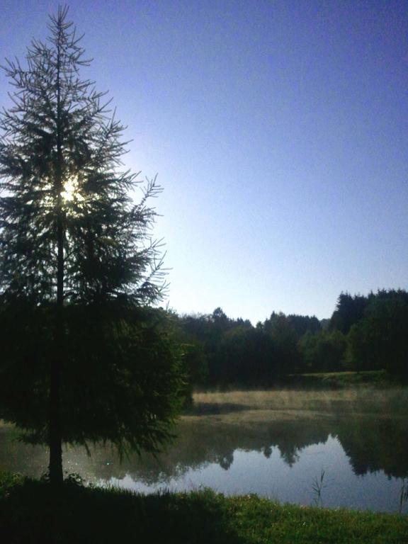 Vosges Chambres D'Hotes Jeanmenil Bagian luar foto